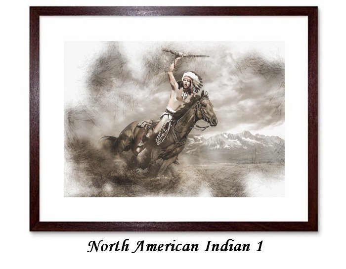 North American Indian Framed Prints